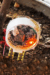 Agriculture IoT & AI DIY Kit