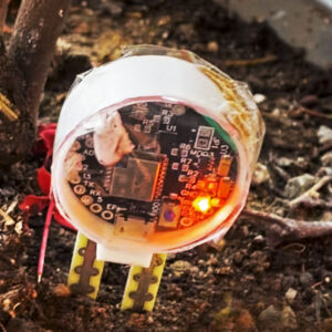 Agriculture IoT & AI DIY Kit